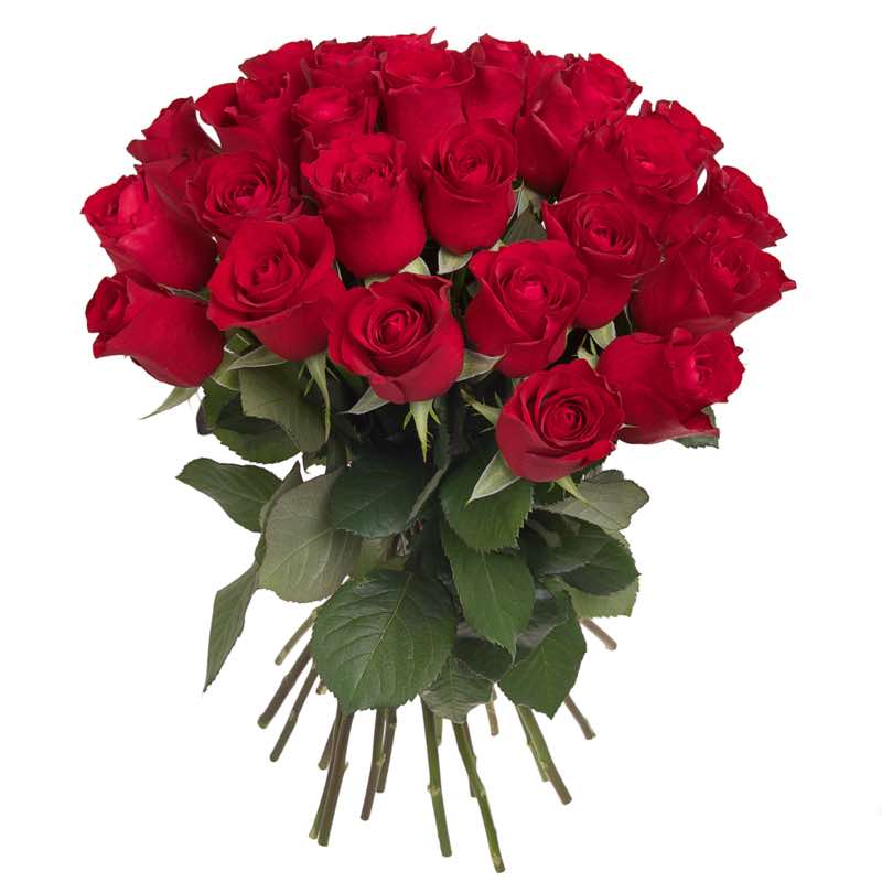33 rose rosse: consegna Rose a domicilio in Italy
