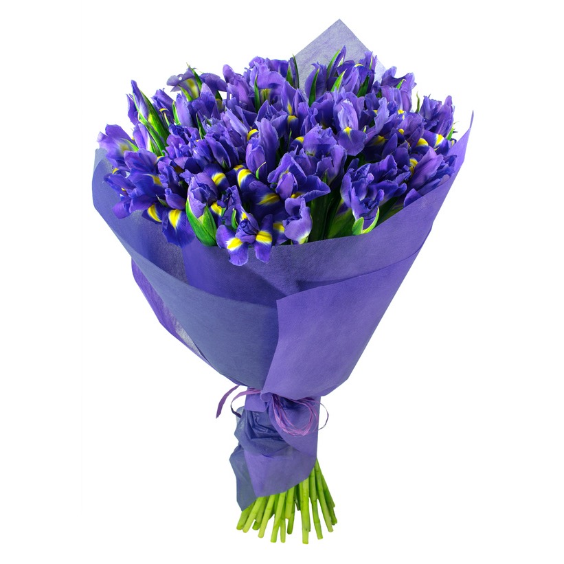bouquet of blue irises