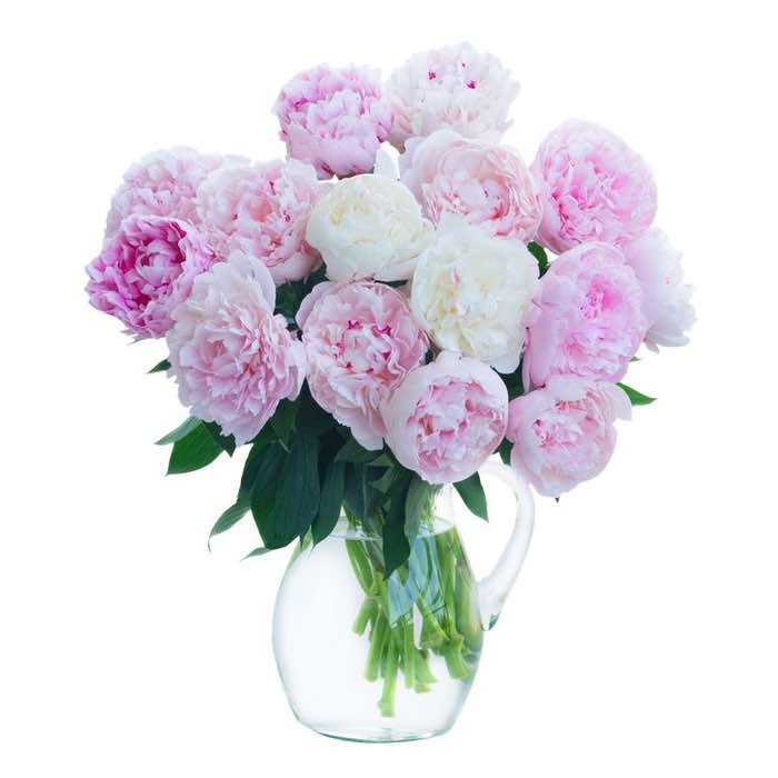 peonias blancas y rosas: enviar y entregar Bouquets a Colombia