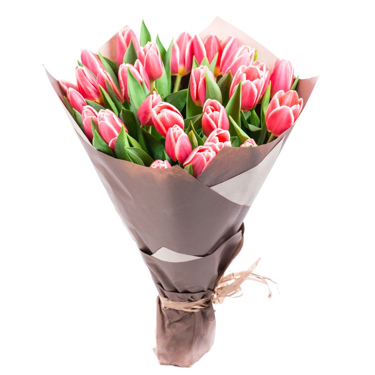 tulipanes rosas