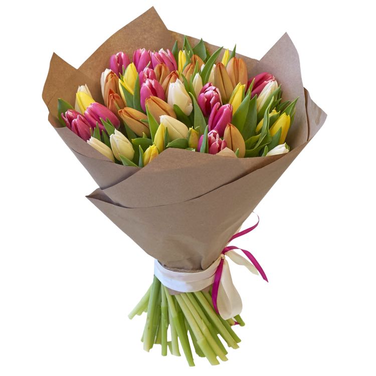 magnificos tulipanes mixtos